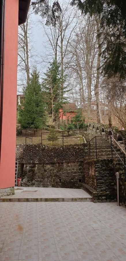 Rosa Villa Baile Olanesti Exterior foto