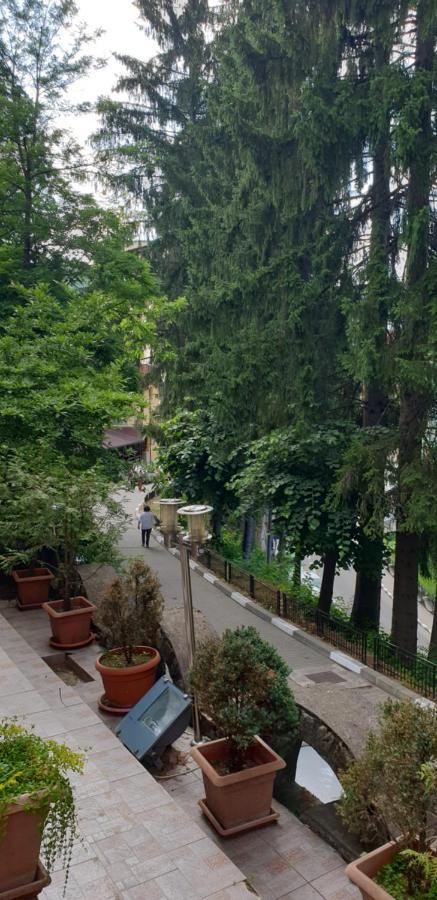 Rosa Villa Baile Olanesti Exterior foto