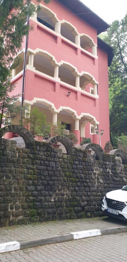 Rosa Villa Baile Olanesti Exterior foto