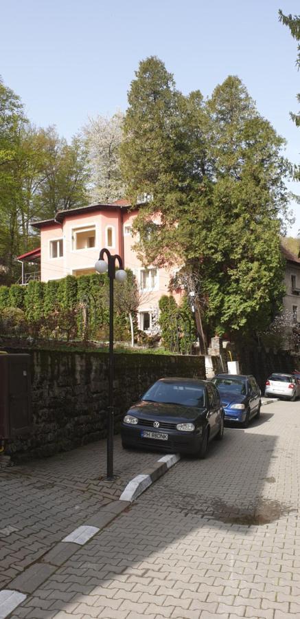 Rosa Villa Baile Olanesti Exterior foto