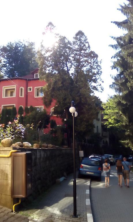 Rosa Villa Baile Olanesti Exterior foto